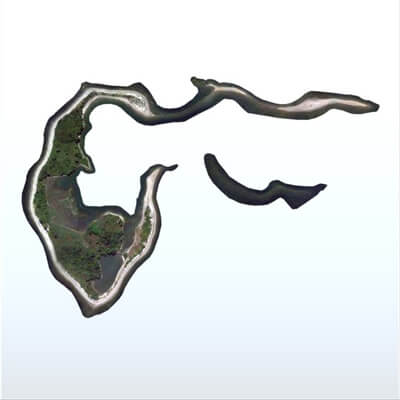 Cockenoe Vinyl Window Decal